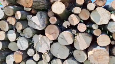 İçinde odun yığını olan bir video. 4K