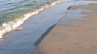 Karadeniz dalgaları videosu. Romanya 'nın Köstence kentinde