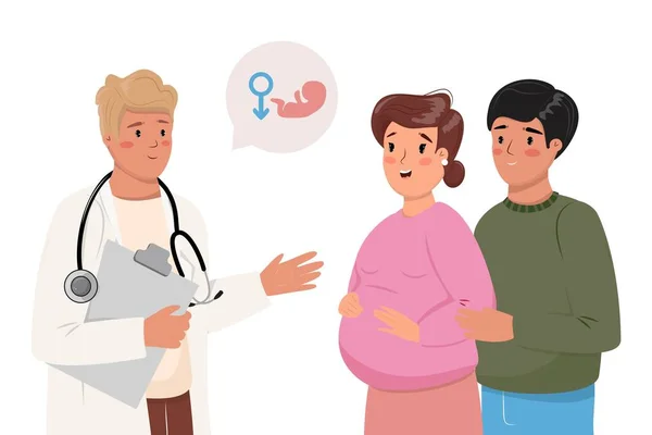 Ilustración Pareja Conociendo Género Futuro Hijo Doctor Con Mujer Embarazada — Archivo Imágenes Vectoriales