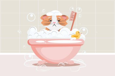 Köpüklü kedi oturuyor ve banyo yapıyor. Yıkama, kuaför, evcil hayvan konsepti