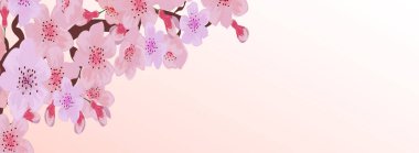 Uzun yatay pankartta köşedeki kiraz çiçekleri eşsiz ve yaratıcı tasarımlarınız için boş bir tuval sunuyor. Bahar bayrağı