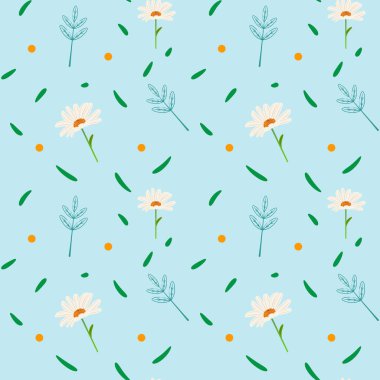 Beyaz papatya çiçekleri ile yumuşak mavi pürüzsüz desen, mavi arkaplanda nazik ve zarif bahar tasarımı 