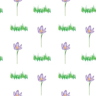 Beyaz arka planda, tekstil, parmak izi ve yüzeyler için çimen ve kruvazör çiçeklerinin pürüzsüz deseni tazeleniyor.