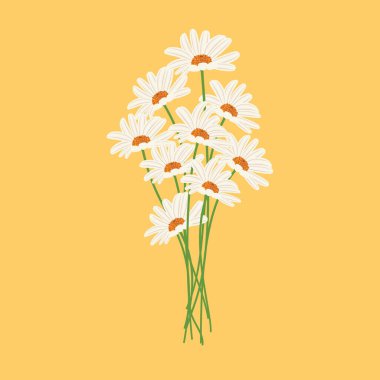 Sarı arka planda duran papatya çiçekleri bahar ve yaz aylarını anımsatıyor.