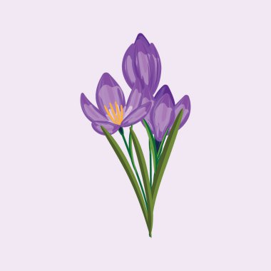 İllüstrasyon, çeşitli çiçek safhalarında, ilkbaharı ve yenilenmeyi sembolize ediyor.