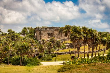 Bereketli yeşil çayırları ve palmiyeleri olan güzel, sakin bir manzara. Arka planda, büyük bir bina var. Tarihe ve ihtişamlı bir hava katıyor.