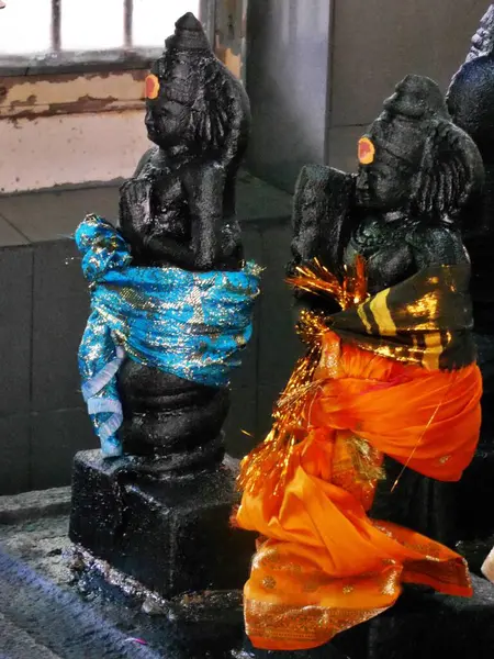 Κοντινό Πλάνο Των Δύο Μαύρων Θεών Στο Ναό Trincomalee Σρι — Φωτογραφία Αρχείου