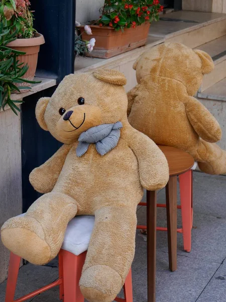 在户外的粉红凳子上 有两只笑着的泰迪熊 高质量的照片 — 图库照片