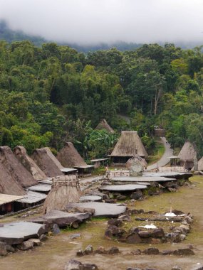 Houses of Bena traditional village in jungle, Flores Island, Indonesia. High quality photo clipart