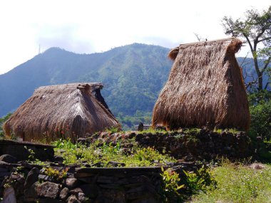 Close up of huts, Wologai traditional village with huts built of bamboo and palm fibre, Flores island, Indonesia. High quality photo  clipart