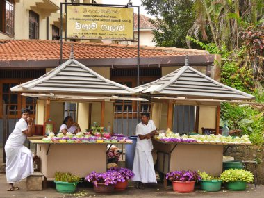 Nilüfer çiçeği satan insanlar, Diş Kandisi Tapınağı, Sri Lanka. Yüksek kalite fotoğraf