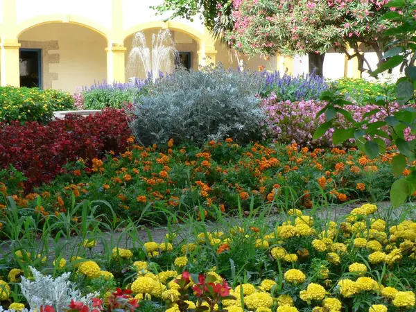 stock image Garden full of colourful trees and flowers in Espace Van Gogh in the French city of Arles, Bouches-du-Rhone department of Provence. High quality photo