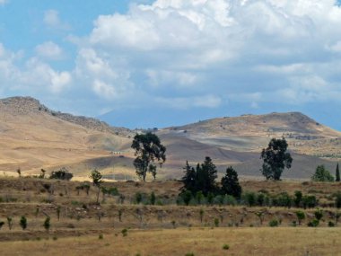 Güzel, huzurlu bir manzara, yuvarlanan tepeler ve mavi gökyüzü olan kırsal Sicilya merkezi. Yüksek kalite fotoğraf
