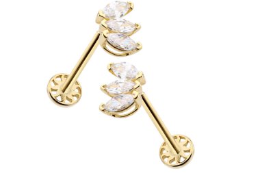 Beyaz arkaplanda izole edilmiş altın küpeler.