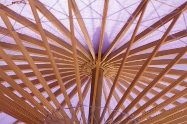 Bebek partisi şemsiyesi fikri partisi