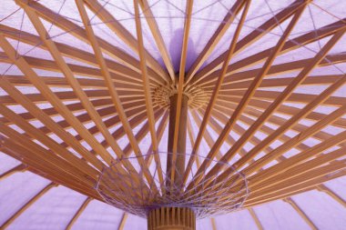 Bebek partisi şemsiyesi fikri partisi