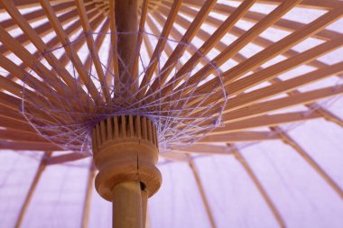 Bebek partisi şemsiyesi fikri partisi