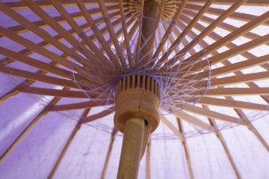 Bebek partisi şemsiyesi fikri partisi