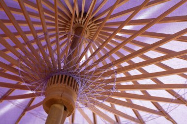 Bebek partisi şemsiyesi fikri partisi