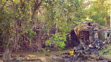 Angkor Thom tapınağı kompleksi, Angkor Wat 'ın küçük çemberi, Siem Reap, Kamboçya