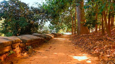 Angkor Thom tapınağına giderken, Siem Reap, Kamboçya