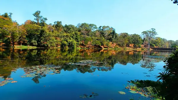 Angkor Wat tapınağı kompleksinin yanındaki gölde şafak vakti, Siem Reap, Kamboçya