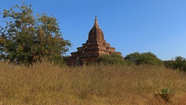 Parktaki Budist tapınağı