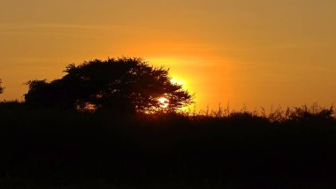 Tarlanın üzerinde güzel bir gün batımı