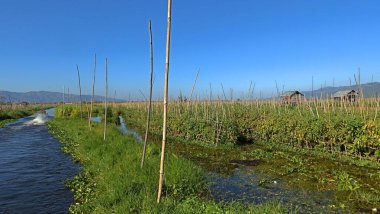 Parktaki nehrin güzel manzarası