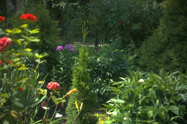 Yazın güzel bir bahçe