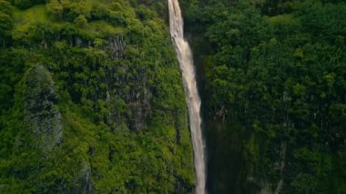 Ormandaki güzel şelale. seyahat, Nuku Hiva, Fransız Polinezyası