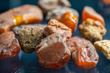 Baltık Denizi kıyılarından ham kehribar. Çiğ kehribar parçaları siyah camların üzerinde yatıyor. Mücevher üretimi için ham madde