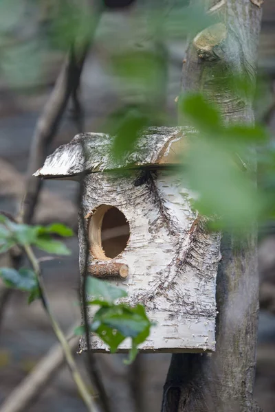 Stará Dřevěná Ptačí Budka Stromě Parku Jednoduchý Návrh Ptačí Budky — Stock fotografie