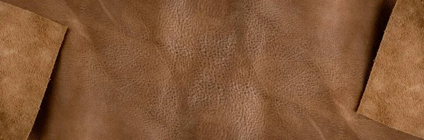 Texture Pelle Marrone Texture Pelle Marrone Naturale Contesto Progettazione Progetto — Foto Stock