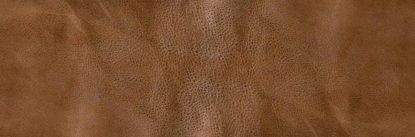 Texture Brown Leather Texture Natural Brown Leather Background Design Project — Stock Photo, Image