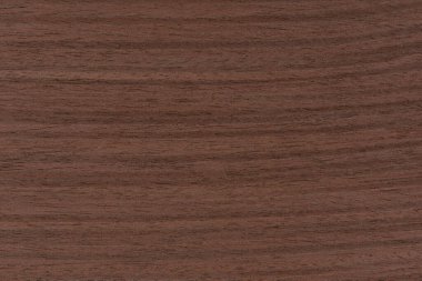 Texture of wenge wood. Dark brown wood for furniture or flooring. Close-up of a Wenge wooden plank, top view
