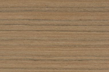 Zebra tree. Texture of brown wood with horizontal black stripes. African zebrano wood texture on macro. Photo in very high resolution