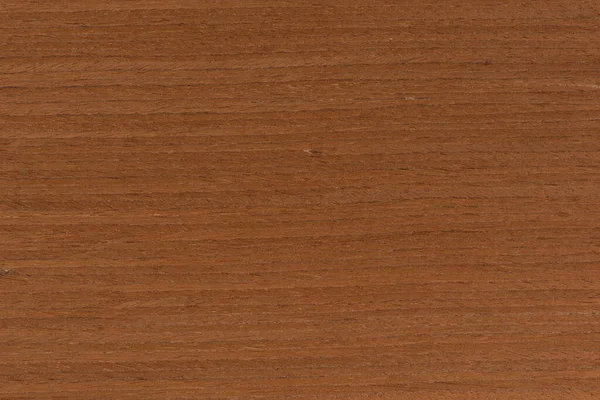 Texture of mahogany. Bright texture of mahogany veneer for furniture production