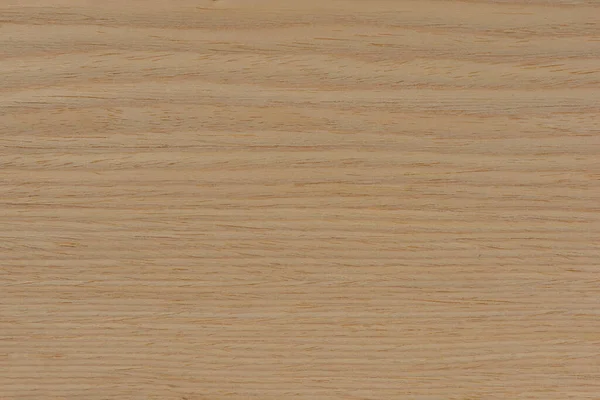 Wood texture. Natural maple texture. Maple board for furniture production. Untreated young maple board with fine texture in light color.