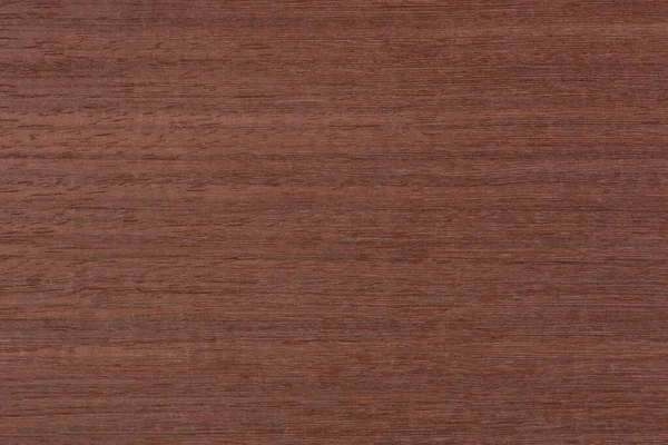 Texture of mahogany. Texture of koto wood with a reddish brown tint. Exotic rare wood from Africa for the production of expensive furniture or interior elements.