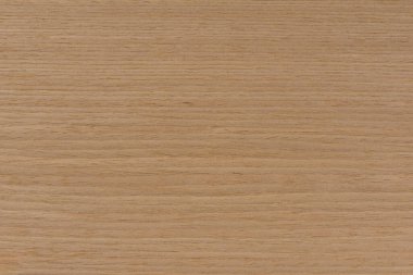 Natural oak texture. Wood texture. Oak board for furniture production. Untreated plank of young oak with fine texture in light color.