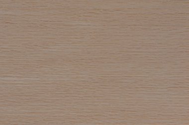 Texture of oak. Texture of natural solid wood. Oak board with a white tint, bleached wood for the production of furniture, floors or doors
