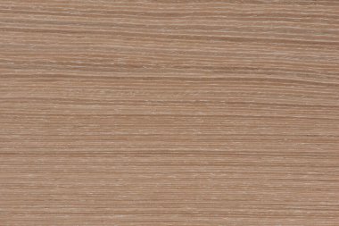 Natural oak texture. Wood texture. Oak board for furniture production. Untreated plank of young oak with fine texture in light color.