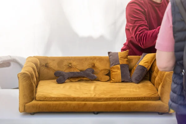 Furniture for pets. The seller advises the buyer before selling a sofa or dog bed. Plush bone as a decoration as a pillow. Small business for the production of accessories and furniture for pets