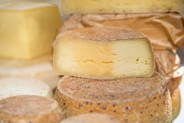 공장에 있습니다 치즈의 개념입니다 고품질 — 스톡 사진