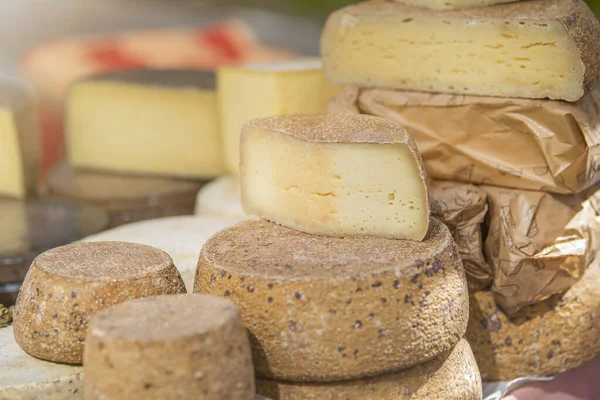 ハードチーズ チーズ工場 棚にチーズの大規模な作品 チーズの生産と販売 小さなビジネスコンセプト 高品質の写真 — ストック写真