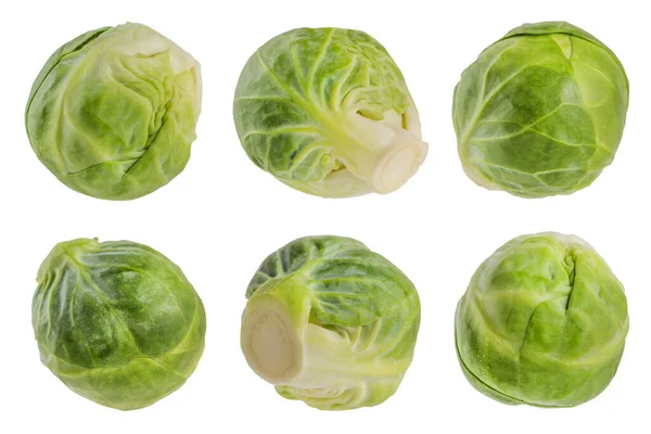Zielona Bruksela Kiełki Białym Odizolowanym Tle Latające Warzywa Odizolowane Biało — Zdjęcie stockowe