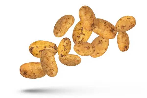 Летающие Овощи Летающий Картофель Белом Фоне Изолировать Свежий Падающий Картофель — стоковое фото