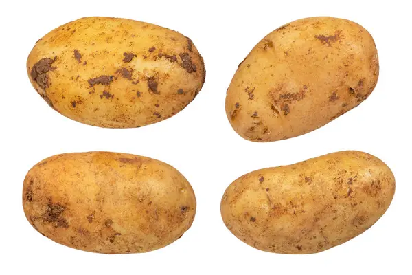 Летающие Овощи Неочищенные Картофельные Клинья Кожурой Белом Фоне Понятие Нездорового — стоковое фото