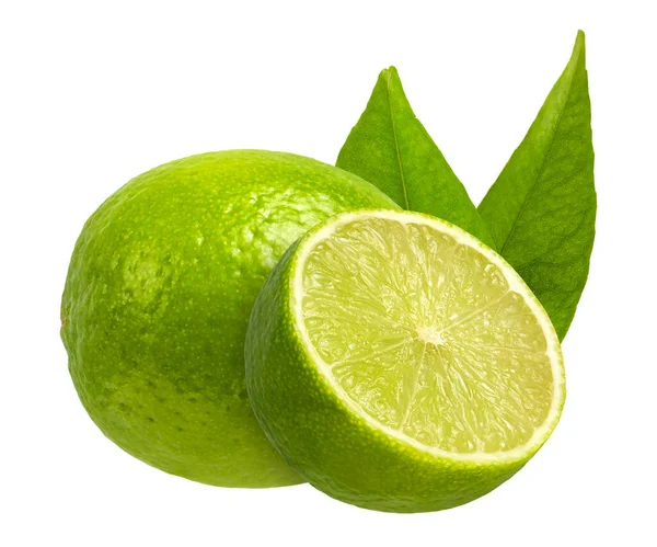Lime White Isolated Background Lime Leaves Cut Half Different Sides — Stock Photo, Image
